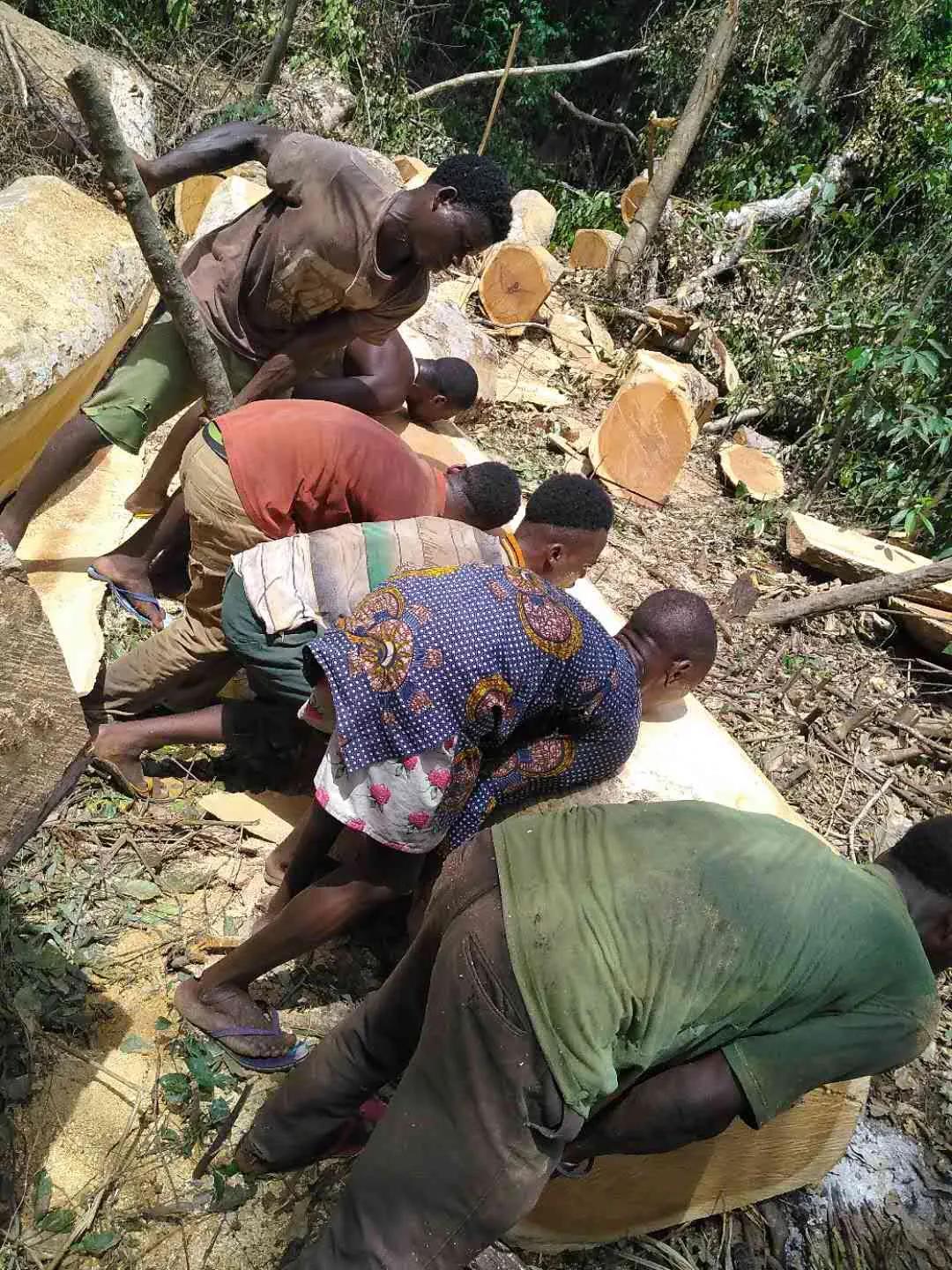 1618479756138122.jpg 1618479756138122.jpg