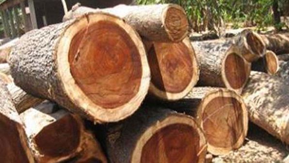 1618480850755588.jpg 1618480850755588.jpg