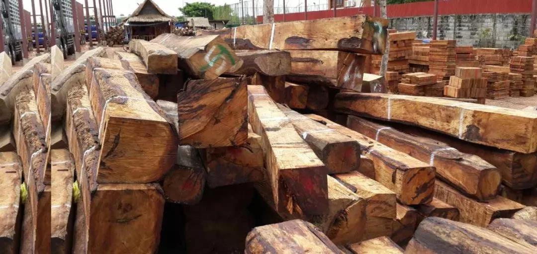 1618640129792518.jpg 1618640129792518.jpg