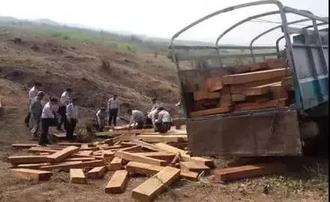 1618640292178129.jpg 1618640292178129.jpg