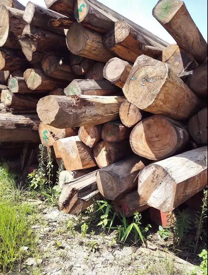 1618640347847391.jpg 1618640347847391.jpg