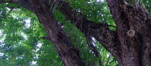 1618797761766758.jpg 1618797761766758.jpg