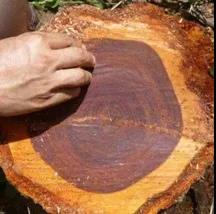 1618797789632504.jpg 1618797789632504.jpg