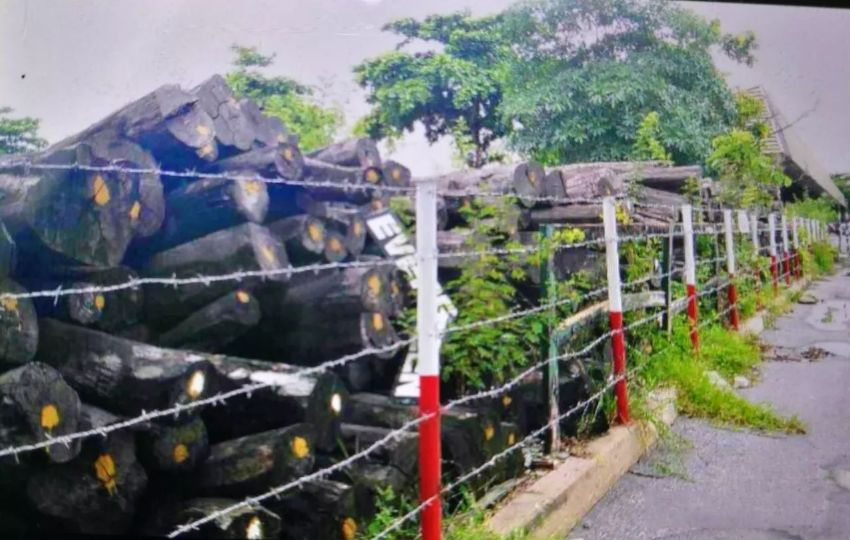 1618797806301073.png 1618797806301073.png