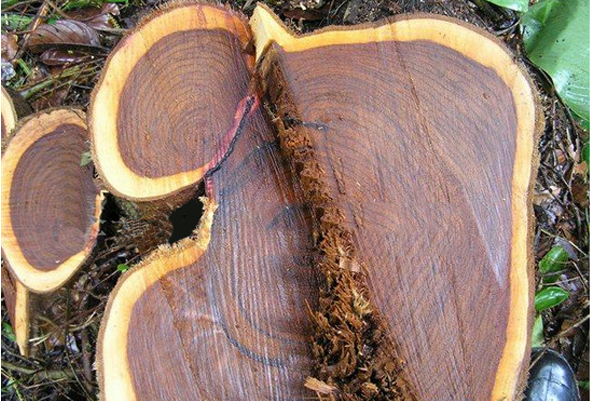 1618797858237858.png 1618797858237858.png