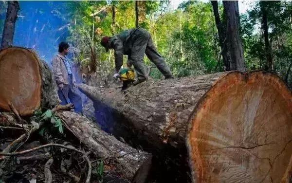 1618799447403142.jpg 1618799447403142.jpg