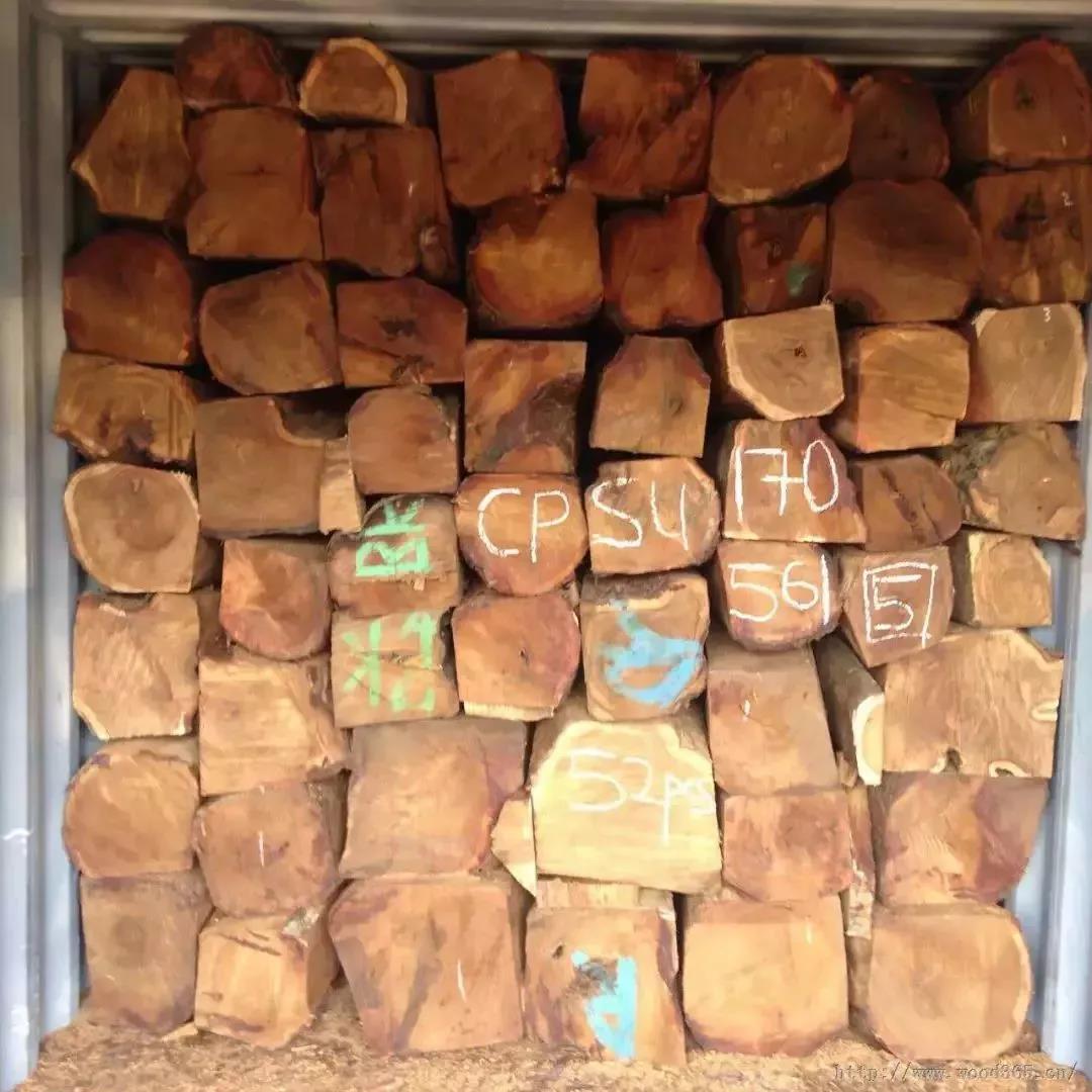 1618799543996896.jpg 1618799543996896.jpg