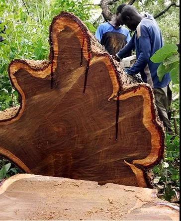 1618799626241003.jpg 1618799626241003.jpg