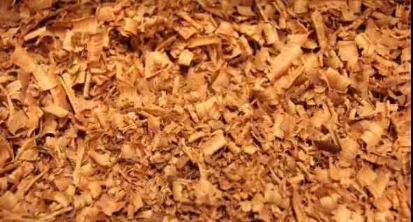 1618799688942953.jpg 1618799688942953.jpg