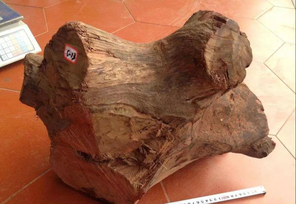 1618799704841859.jpg 1618799704841859.jpg