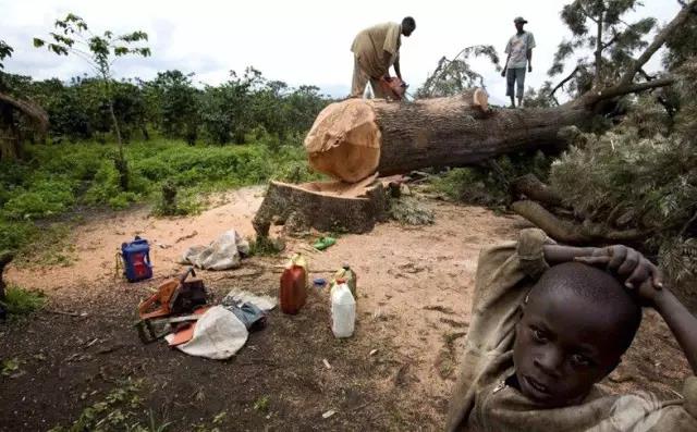 1641260052367848.jpg 1641260052367848.jpg