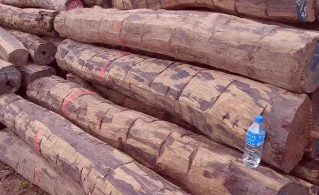 1641260131190335.jpg 1641260131190335.jpg