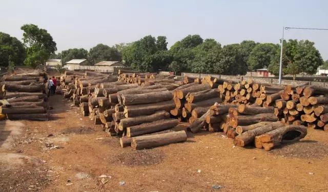 1641951023203521.jpg 1641951023203521.jpg